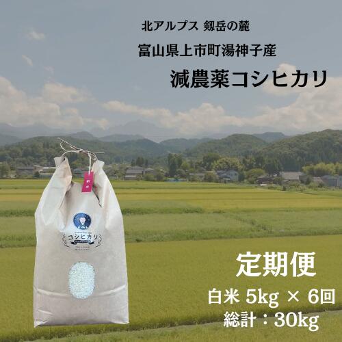 【ふるさと納税】【毎月1回お届け】【定期便】【令和7年産】減農薬 上市町湯神子産コシヒカリ（白米）5kg x 6回 計30kg　 [ソムリエH 富山県 上市町 32280252-r6-02】 米 6ヶ月 6回定期便 定期購入 お米 コメ ご飯 ごはん 白米ご飯 白米ごはん こしひかり 富山県産