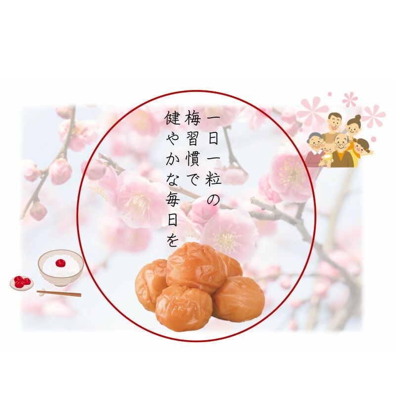 YD1001_紀州南高梅うす塩つぶれ（塩分約6％）700ｇ×2_イメージ3