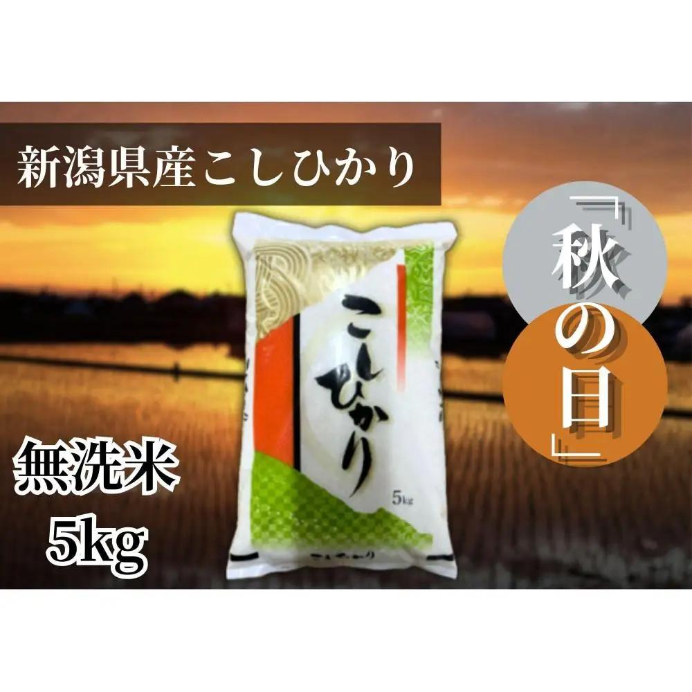 【令和7年産 】新潟県産こしひかり「秋の日」（無洗米5kg）新潟県の美味しいお米。