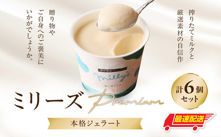 【最速配送】松本牧場ミリーズ Premium 6個 ／ アイス ジェラート アイスクリーム【B164】