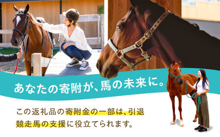 TCCセラピーパーク施設見学＆ふれあい チケット (1名様分) BIAV002 競馬 引退馬