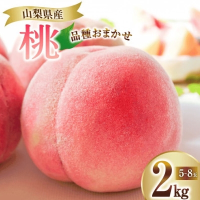 
                  ＜2026年発送＞山梨県山梨市産 桃 2kg (5～8玉)【1691260】
                