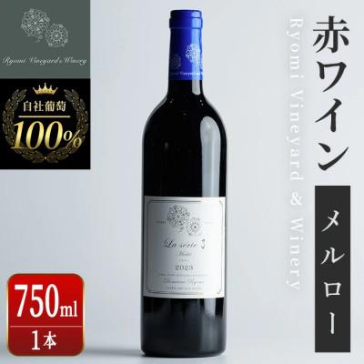 ふるさと納税 大和町 自社葡萄を使用した赤ワイン メルロー 750ml×1本