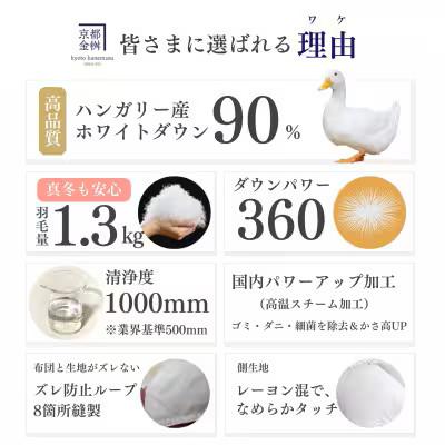 ふるさと納税 亀岡市 羽毛布団 本掛け カバー付(ブルー)ハンガリーダウン90% シングル アンバーホワイト アクア |  | 01