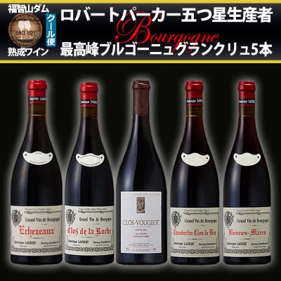 ふるさと納税 直方市 福智山ダム熟成 五つ星生産者ブルゴーニュ最高峰GC 5本詰め合わせセット FD586
