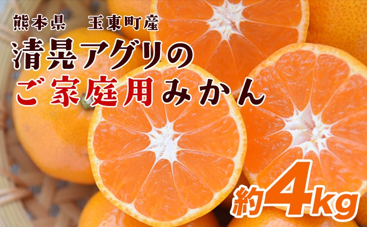 
                  ご家庭用『清晃アグリ』のご家庭用みかん★約4kg(2S-2Lサイズ)《11月中旬-12月末頃出荷》予約受付中 フルーツ 秋 旬★熊本県玉名郡玉東町 健康な土で育つジューシーおいしいみかん！ちょこっと訳あり
                