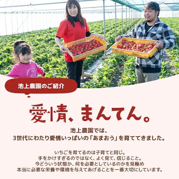 いちご ジャム用あまおういちご 2kg 【2月後半～5月前半発送】BD07