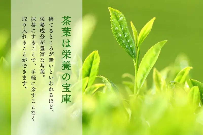 SOU・SOU宇治抹茶セット【静香の昔】20ｇ茶缶入（抹茶 京都