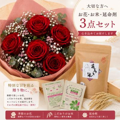 ふるさと納税 磐田市 7月発送!同級生コンビでお届けする赤バラのブーケとおいしいお米(精米)のセット・栄養剤付き! |  | 01