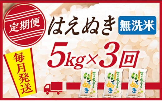 【定期便】【無洗米】 令和7年産 山形県産 はえぬき 5kg (5kg×1)  3回配送