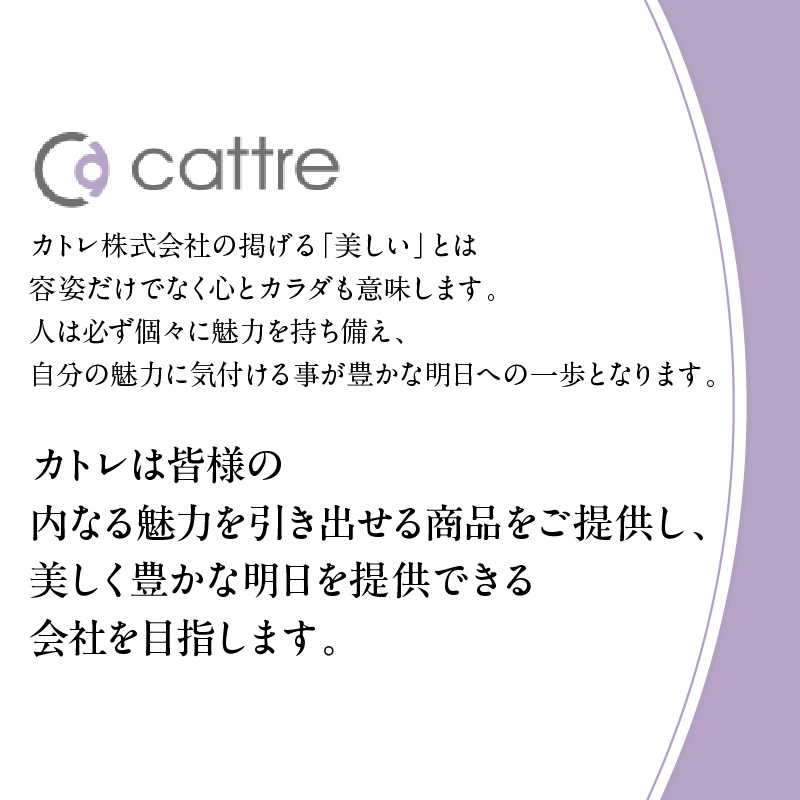 ＜cattre カトレ＞　充電交流式 メンズシェーバー2枚刃セット（収納ポーチ／USB電源アダプター付き）