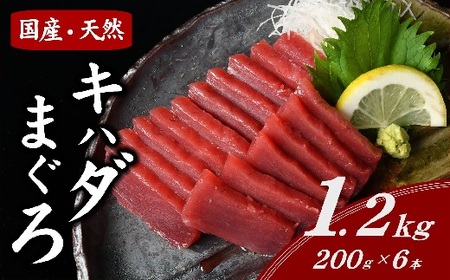 国産キハダマグロ 冷凍短冊 約1.2kg 【まぐろまぐろまぐろまぐろまぐろまぐろまぐろまぐろまぐろ】【1.5-8】