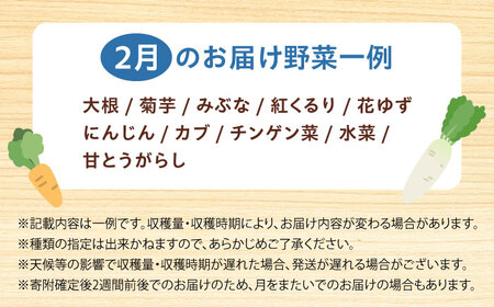 【数量限定】厳選！旬を味わう高槻野菜おまかせ詰め合わせセット 2月（10種～15種）　大阪府高槻市/高槻あぐり[AOCS008] [AOCS008]