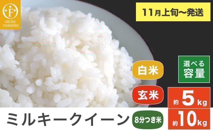 
            ミルキークイーン 白米 玄米 8分つき米  約5kg  約10kg 選べる 精米方法 内容量 ［ おぶせファーマーズ ］ お米 コメ おこめ ご飯 精米 長野県産【2025年11月上旬～発送】
          