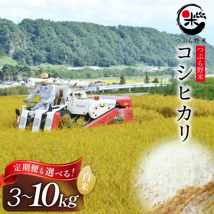 【ふるさと納税】米 令和7年産 コシヒカリ つぶら野米 3kg 5kg 6kg 10kg 白米 精米 定期便 選べる お米 米 7年産 3ヶ月 6ヶ月 こしひかり 定期 こめ コメ おこめ 3キロ 5キロ 6キロ 10キロ 新米 [つぶら野米 山梨県 韮崎市 20745134]