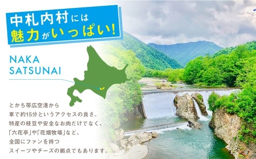 村内在住画家による絵画・クリアファイル＆絵葉書セット[X05-1]