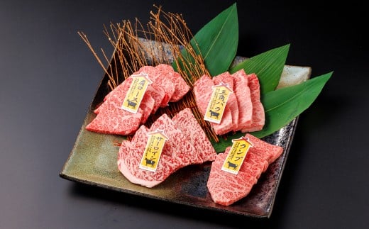 【A5】鳥取和牛焼肉食べ比べセット 400g【A5等級 肩ロース サーロイン 三角バラ ランプ 食べ比べ セット 焼肉 焼き肉 やきにく 鳥取 和牛 ご自宅用 ギフト 熨斗 プレゼント お取り寄せ グルメ 冷凍】