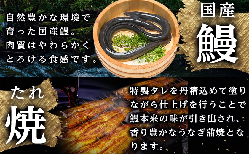 大満足の夢コラボ☆うなぎ&厚切り牛タンセット≪みやこんじょ特急便≫_AC-3308-Q