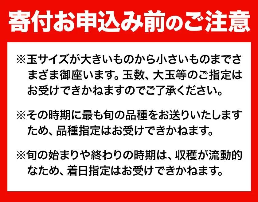 【全2回】晴れの国定期便 桃1kg マスカット1.3kg 定期便