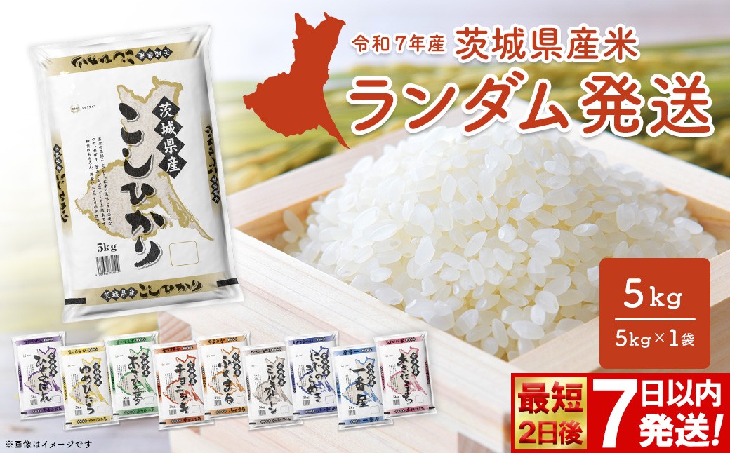 
                  ＜最短2日後発送＞ or ＜選べる配送時期＞ ※ランダム※ お米 5kg 茨城県産 白米 小分け 2025年産 最短2日後発送 米 発送時期選べます コシヒカリ 5kg 米 お米 白米 精米 おこめ コメ ライス お米5kg ごはん ご飯 米5kg ブランド米 5kg袋 国産米 おすすめ 人気 お取り寄せ 銘柄米 ブランド 2025年産 令和7年産 K2464
                
