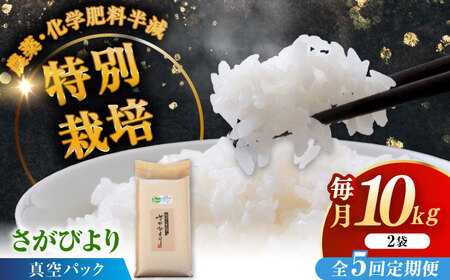 【全5回定期便】令和7年産 ななしま家 さがびより5kg×2袋 / 白米 特別栽培 / 佐賀県 / 有限会社七島農産 [41AHAC008]