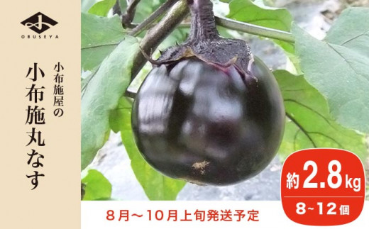 小布施丸なす 約2.8kg 8～12個 ［小布施屋］ 茄子 ナス 信州 伝統野菜 やさい 長野県産 お取り寄せグルメ 食品 数量限定 期間限定 【2026年8月～10月上旬発送】 ［A-227］