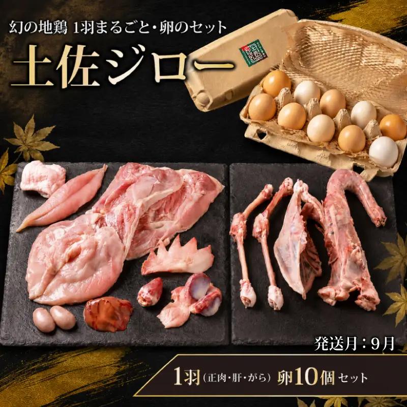 地鶏 土佐ジロー 1羽 卵 セット 地鶏【9月発送】地鶏