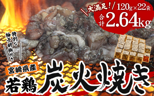 宮崎県産 若鶏 炭火焼 計2.64kg 大満足22パック 宮崎の名店「小料理ひゅう」 鶏肉 肉 鶏 鶏もも モモ肉 むね肉 ムネ ムネ肉 鶏むね 鶏むね肉 鶏もも肉 炭火焼き 炭火焼 国産 国産鶏 パック 小分け おつまみ つまみ おかず お弁当  20袋 塩味 みそ味 辛みそ 味付き 味付き肉 簡単調理 柚子胡椒 レンジ 湯煎 BBQ 人気 おすすめ 宮崎県 宮崎市 _M210-003_01