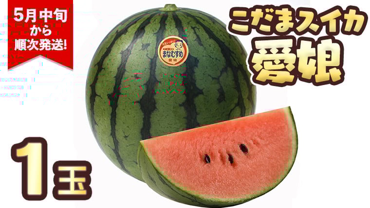
                  こだまスイカ　愛娘（１玉） 【2026年5月中旬より発送開始】 際まで甘いこだまスイカ　すいか スイカ 西瓜 甘い [BC031sa]
                