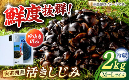 しじみ 砂抜き不要！ 活ヤマトシジミ 生しじみ 2kg 島根県松江市/株式会社漁師村[ALDN003] しじみ しじみ しじみ しじみ