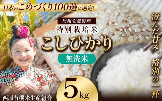 特別栽培米 松川村産 こしひかり 無洗米 約5Kg | 米 こめ コメ お米 白米 はくまい 無洗米 コシヒカリ こしひかり 特別栽培米 エコ 長野県 松川村 信州