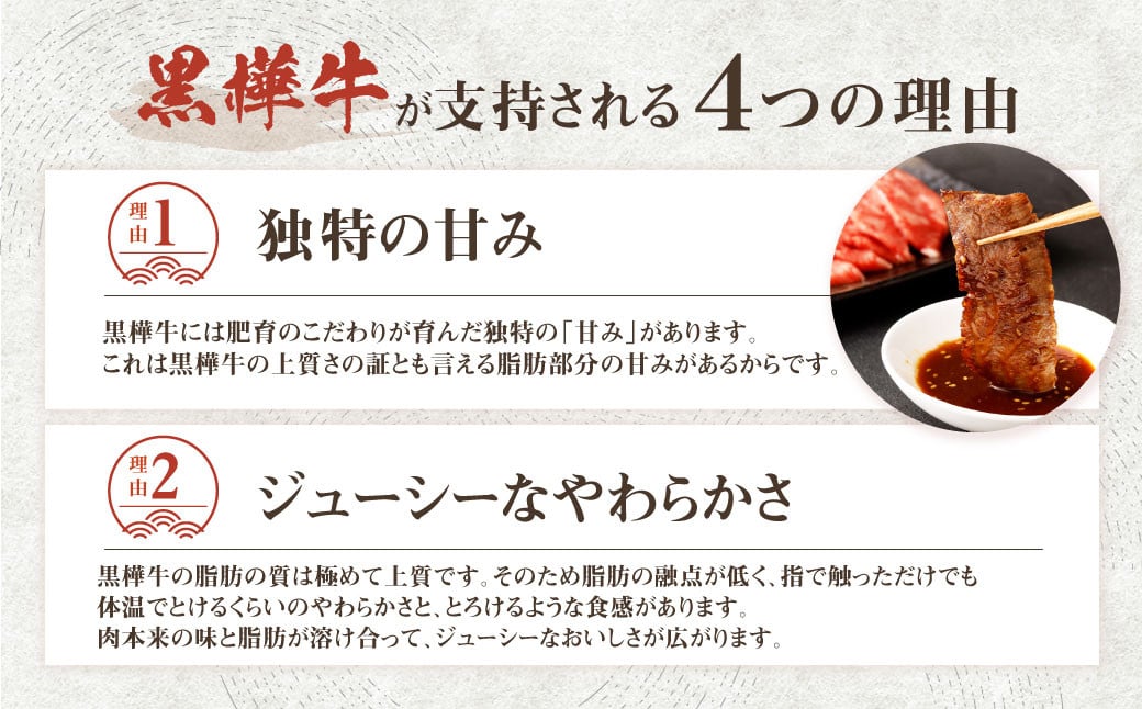 くまもと黒毛和牛 杉本本店 黒樺牛 A4~A5等級 焼肉用カルビ 250×2 計500g