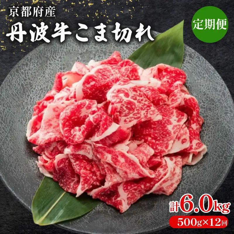 【全12回定期便】 丹波牛 牛肉切り落とし 500g 牛肉定期便
