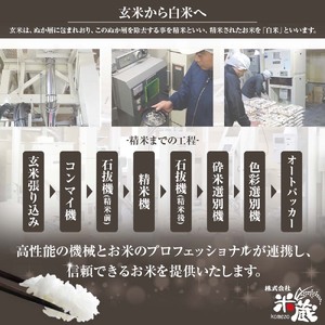 米 コシヒカリ 2026年8月より順次発送 令和8年産 新米 内容量10kg  白米 精米 お米 ご飯 ごはん おにぎり こめ こしひかり 高知県産 美味しい おいしい  常温  故郷納税 高知 土佐