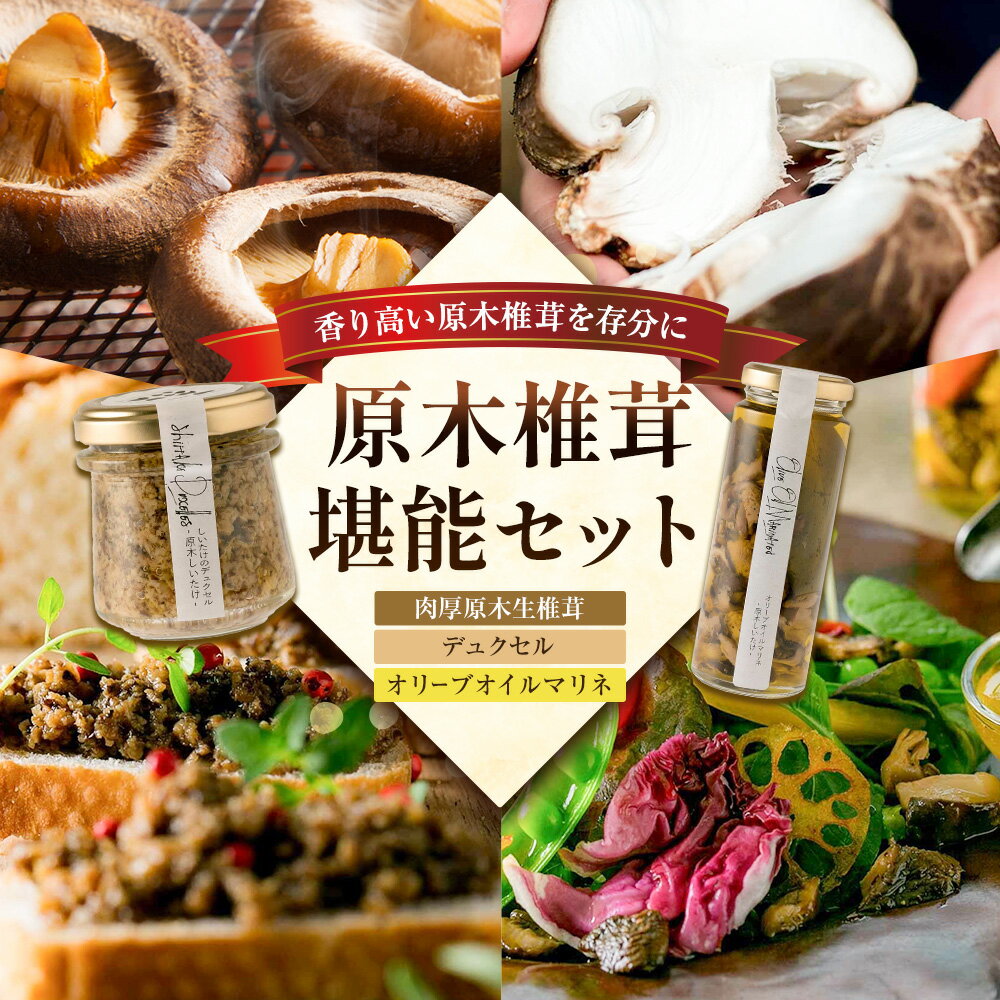 【ふるさと納税】原木椎茸堪能セット 肉厚原木生椎茸 500g しいたけのデュクセル 2本 オリーブオイルマリネ 1本 合同会社 原田山業《90日以内に出荷予定(土日祝除く)》熊本県 菊池市 椎茸 しいたけ きのこ 肉厚 デュクセル オリーブオイル マリネ 瓶詰め セット 詰め合わせ