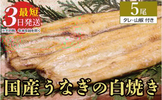 うなぎ白焼き　5尾（120g以上×5尾） | メディアに紹介されたうなぎ屋 国産 冷蔵 うなぎ 鰻 ウナギ タレ・山椒つき しら焼き※着日指定不可※離島への配送不可