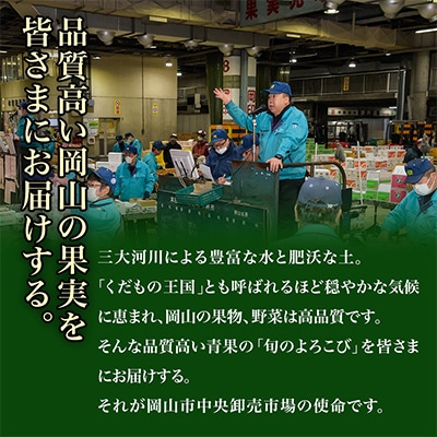 【発送月固定定期便】A 岡山県産 シャインマスカット(晴王)・あたご梨ほか全3回【配送不可地域：離島・北海道・沖縄県】【4000246】