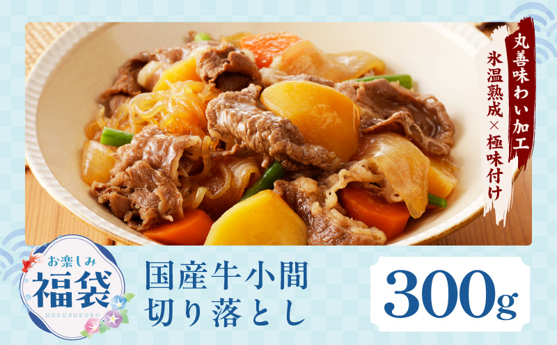 【夏の肉福袋】4種 1.9kg 焼肉セット（牛肉 切り落とし／牛ハラミ／豚肉 スペアリブ／鶏肉）【氷温熟成×極味付け 焼くだけ 食べ比べ ふくぶくろ お楽しみ 簡単調理】 mrz0154