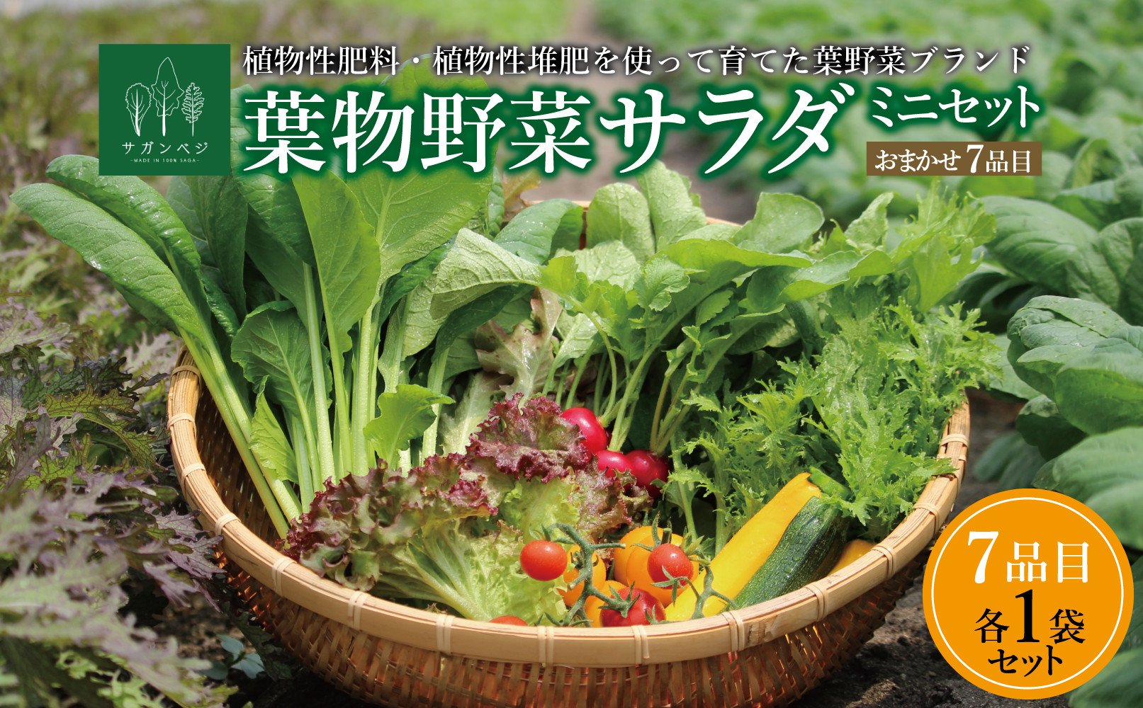 
                  【セット】オーガニックサラダミニセット【植物性肥料と植物性追肥を使って育てた葉野菜ブランド】葉野菜７品目×1パック
                