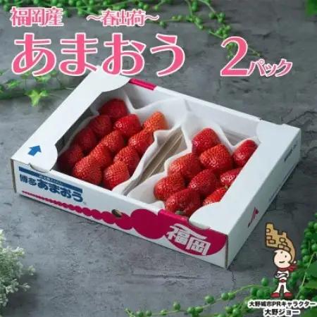 【2027年発送先行受付】フルーツ専門店が選んだ「あまおう苺」春250g×2パック(大野城市)【配送不可地域：離島】【1750231】