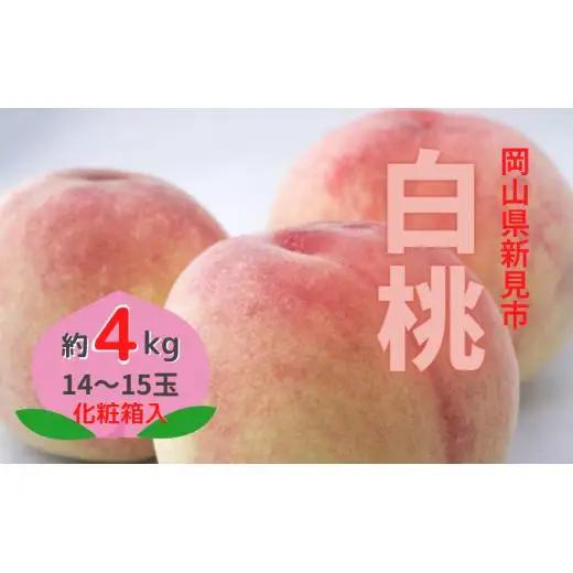 新見の白桃 約4kg 14～15玉 贈答にも【先行予約 7月下旬から順次発送】