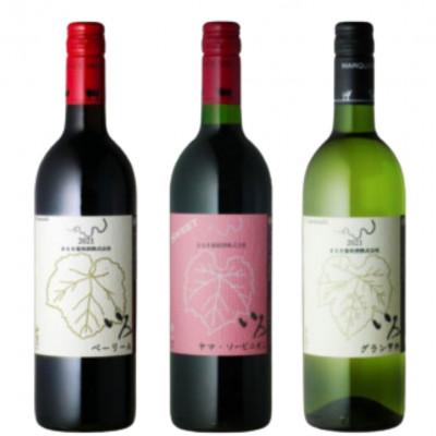 ふるさと納税 甲州市 まるき【いろシリーズ】計3本 いろベーリーA いろヤマ・ソービニオン いろグラン甲州 C-1655