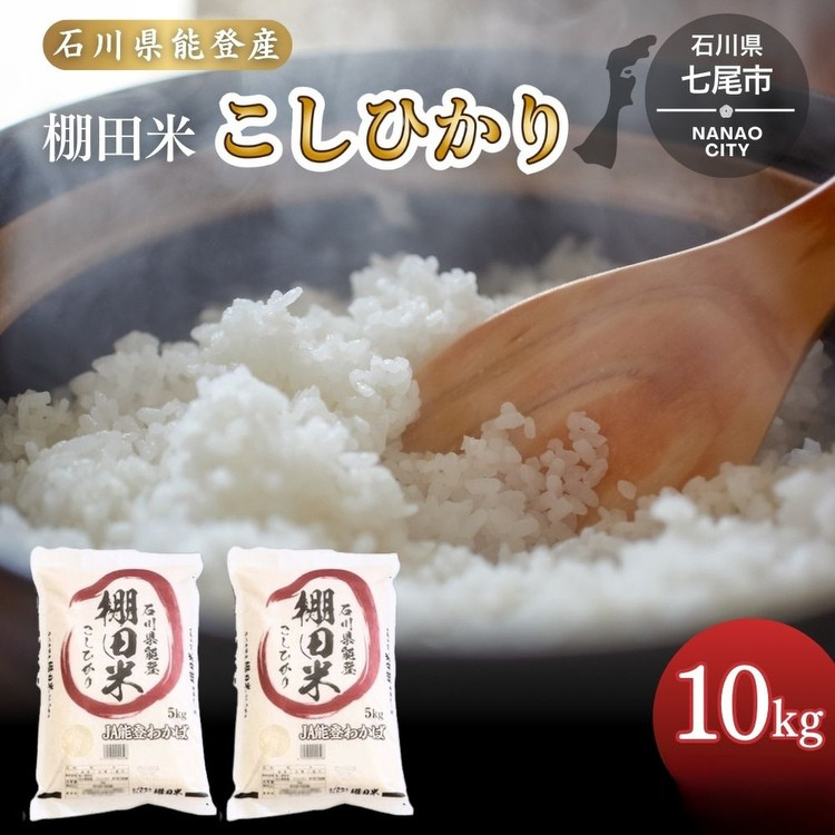 令和7年産 棚田米 こしひかり10kg（5kg×2袋）米 ｜ 世界農業遺産に認定された『能登の里山里海』で育まれたお米 石川県 七尾市 能登 ※2025年12月中旬頃より順次発送予定