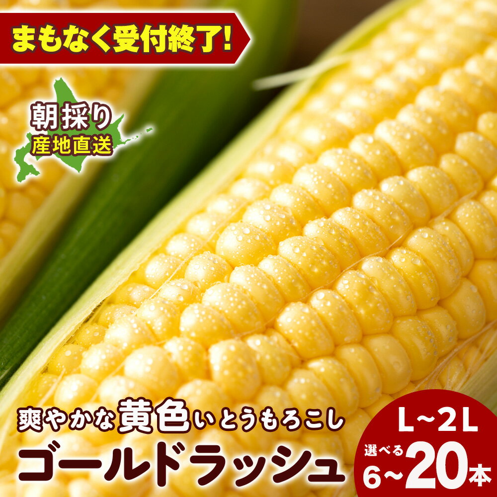 【ふるさと納税】2025年夏発送 とうもろこし ゴールドラッシュ L〜2L 選べる6本～20本 北海道千歳産 野菜 とうもろこし【北海道千歳市】ギフト ふるさと納税
