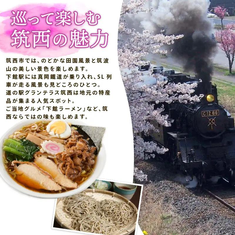 スピード発送!! きぬのまゆ玉 24個 ( 抹茶 )  和菓子 わがし