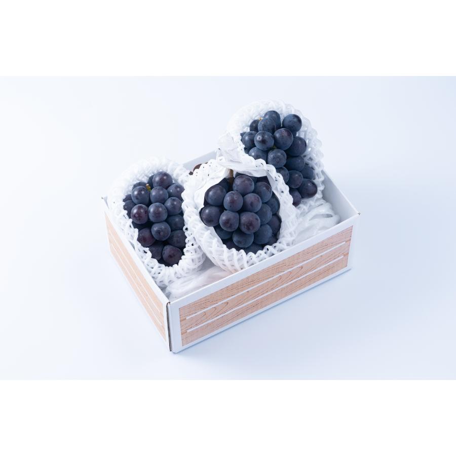 ＜福岡八女産黒木＞巨峰２ｋｇ