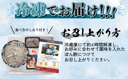 【ふぐ】 とらふぐ刺身 4-5人前 セット 冷凍 大皿 海鮮 刺し身 BV