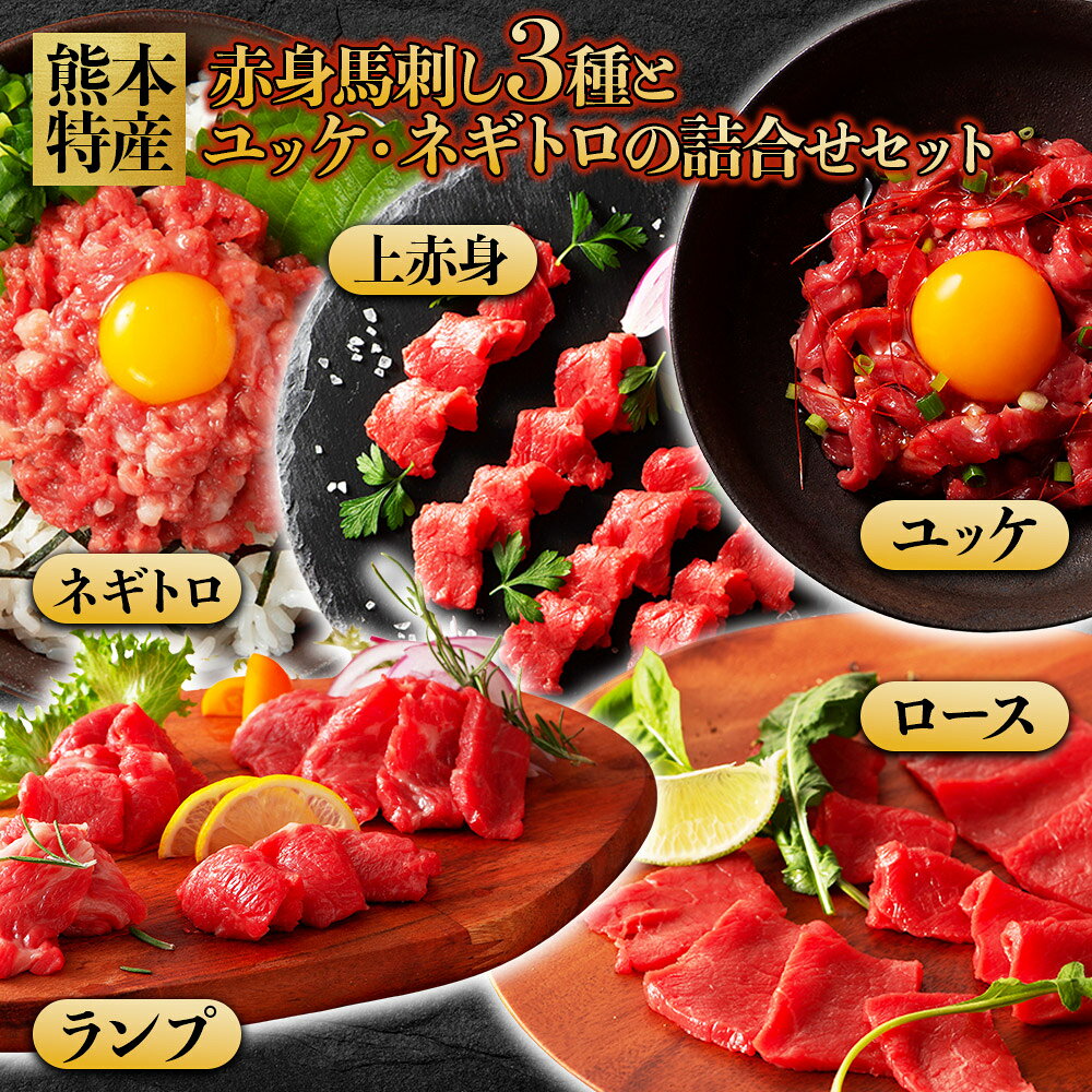 【ふるさと納税】 ふじ馬刺し上級赤身3種とユッケ・ネギトロの詰合せ（ふじ馬刺しロース・ランプ・上赤身・ユッケ・ネギトロ） 肉 馬肉 馬刺し ユッケ 上赤身 ネギトロ ロース ランプ 小分け 冷凍 専用タレ 晩酌 おつまみ 熊本県 水上村