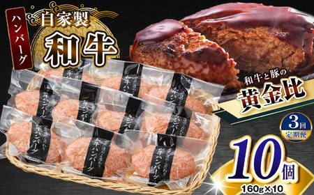 【定期便3回】自家製和牛ハンバーグ（生・冷凍個別真空）10個セット  | 牛肉 牛 肉 にく 和牛 かずさ和牛 国産 ハンバーグ 新鮮 オススメ 千葉県 君津市 きみつ