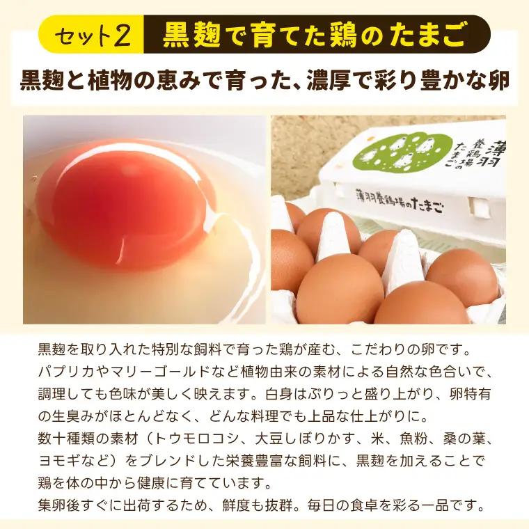 たまごセット 濃厚たまご＆絶品加工品 6点セット 益子町 BC009